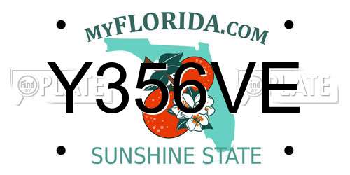 Y356VE Florida License Plate