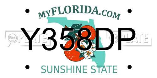 Y358DP Florida License Plate