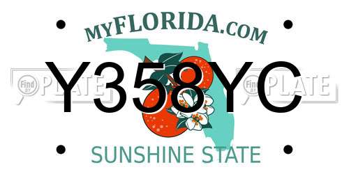 Y358YC Florida License Plate
