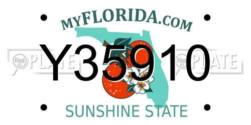 Y35910 Florida License Plate