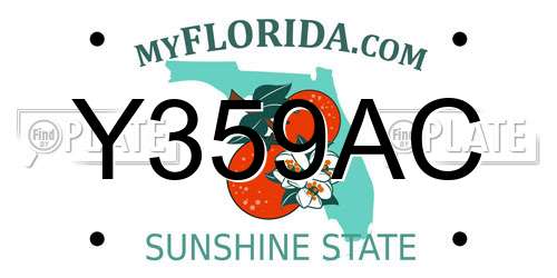 Y359AC Florida License Plate
