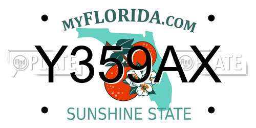 Y359AX Florida License Plate