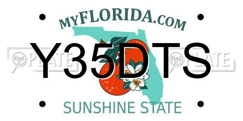 Y35DTS Florida License Plate