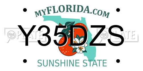 Y35DZS Florida License Plate