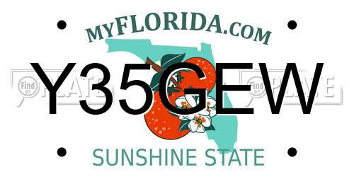 Y35GEW Florida License Plate