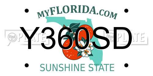Y360SD Florida License Plate