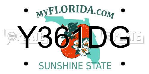 Y361DG Florida License Plate