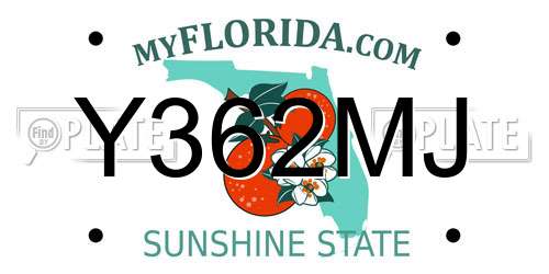 Y362MJ Florida License Plate