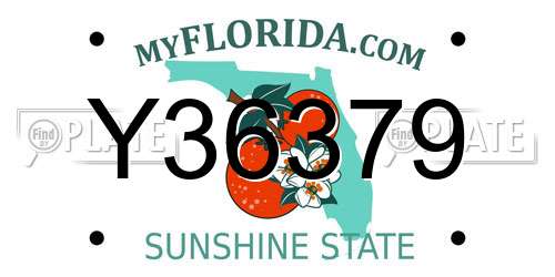 Y36379 Florida License Plate