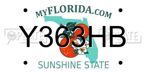 Y363HB Florida License Plate