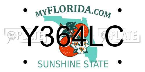 Y364LC Florida License Plate