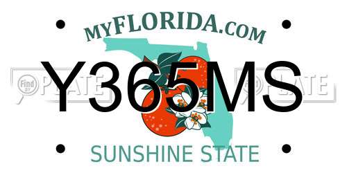 Y365MS Florida License Plate