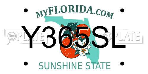 Y365SL Florida License Plate
