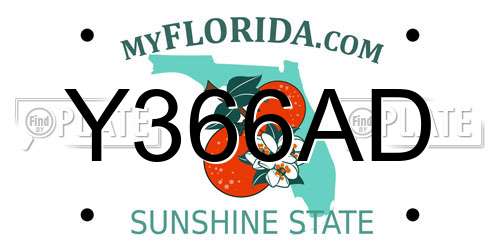 Y366AD Florida License Plate
