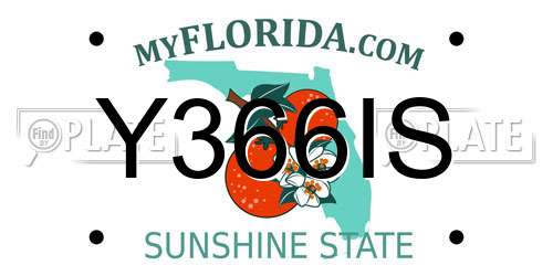 Y366IS Florida License Plate