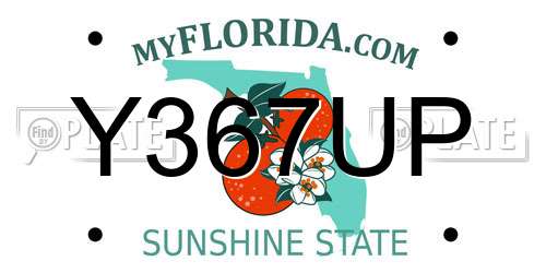 Y367UP Florida License Plate