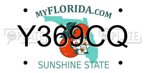 Y369CQ Florida License Plate