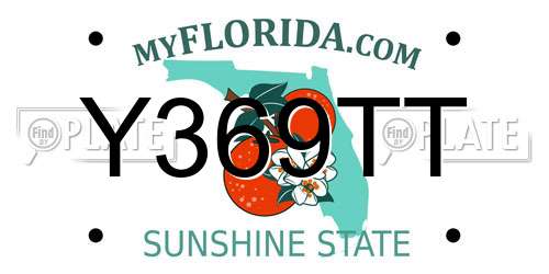 Y369TT Florida License Plate