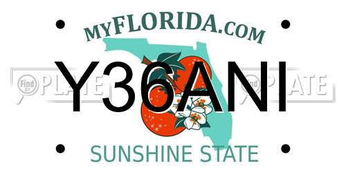 Y36ANI Florida License Plate