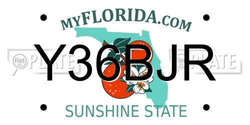Y36BJR Florida License Plate