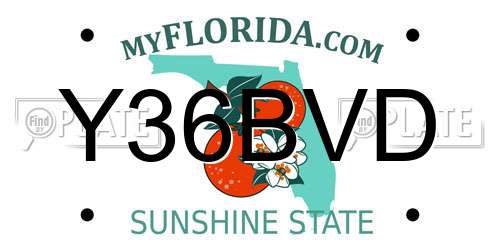 Y36BVD Florida License Plate