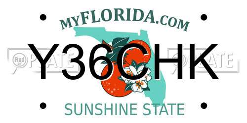 Y36CHK Florida License Plate