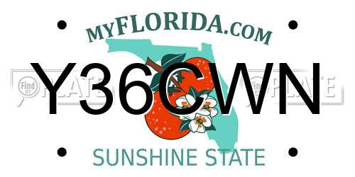 Y36CWN Florida License Plate