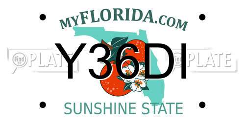 Y36DI Florida License Plate