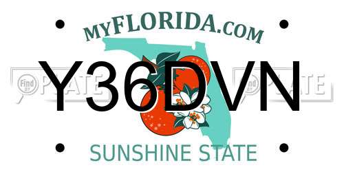 Y36DVN Florida License Plate