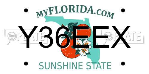 Y36EEX Florida License Plate