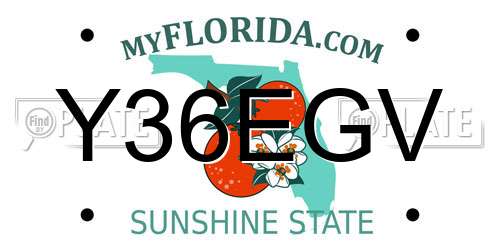 Y36EGV Florida License Plate