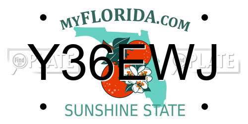 Y36EWJ Florida License Plate