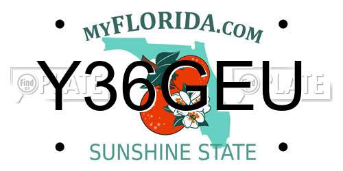 Y36GEU Florida License Plate