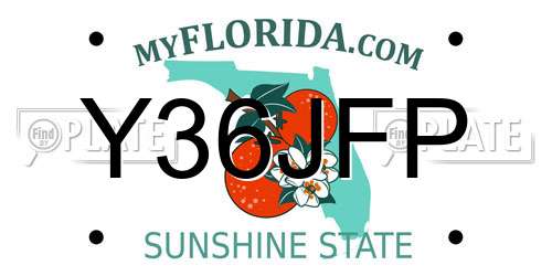 Y36JFP Florida License Plate