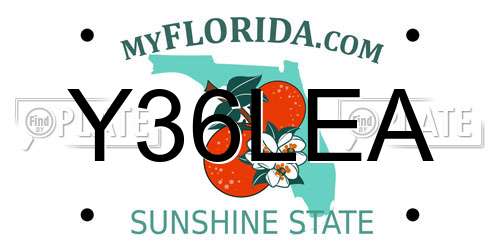 Y36LEA Florida License Plate