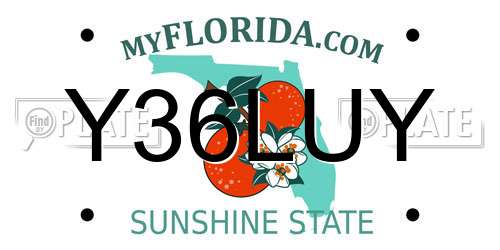 Y36LUY Florida License Plate
