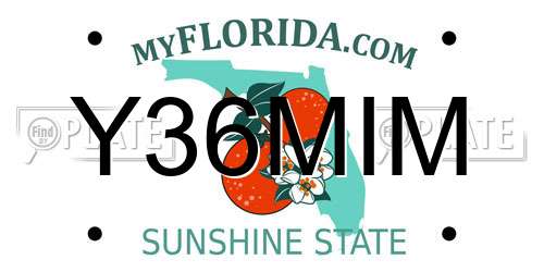 Y36MIM Florida License Plate