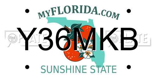 Y36MKB Florida License Plate