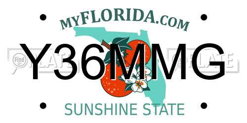 Y36MMG Florida License Plate