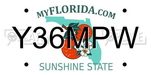 Y36MPW Florida License Plate