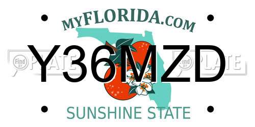 Y36MZD Florida License Plate