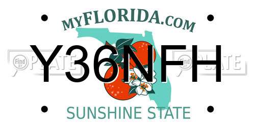 Y36NFH Florida License Plate