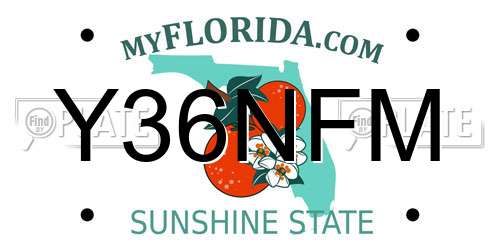 Y36NFM Florida License Plate