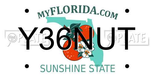 Y36NUT Florida License Plate