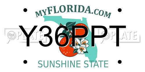 Y36PPT Florida License Plate