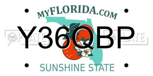 Y36QBP Florida License Plate