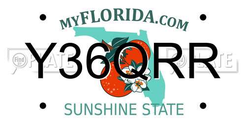 Y36QRR Florida License Plate