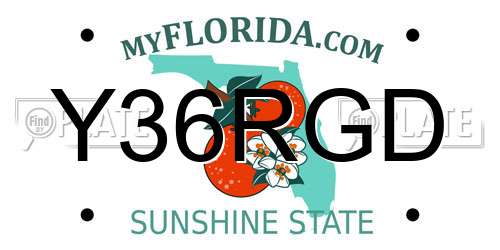 Y36RGD Florida License Plate