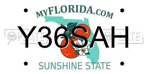 Y36SAH Florida License Plate