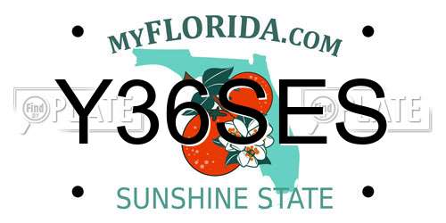Y36SES Florida License Plate